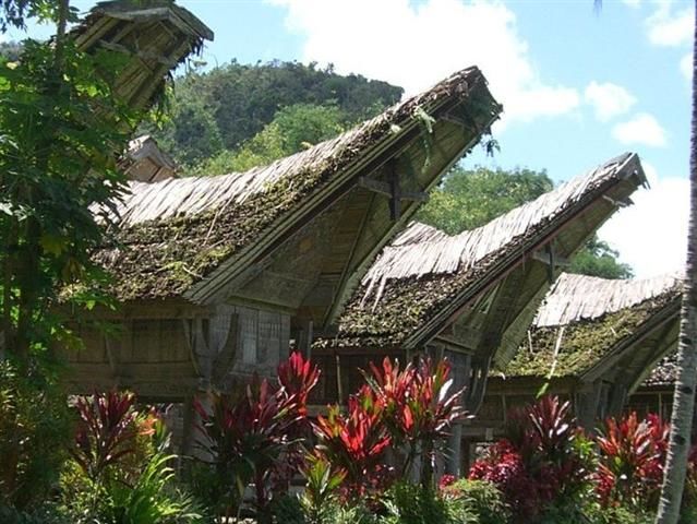 sulawesi toraja huizen (Custom)